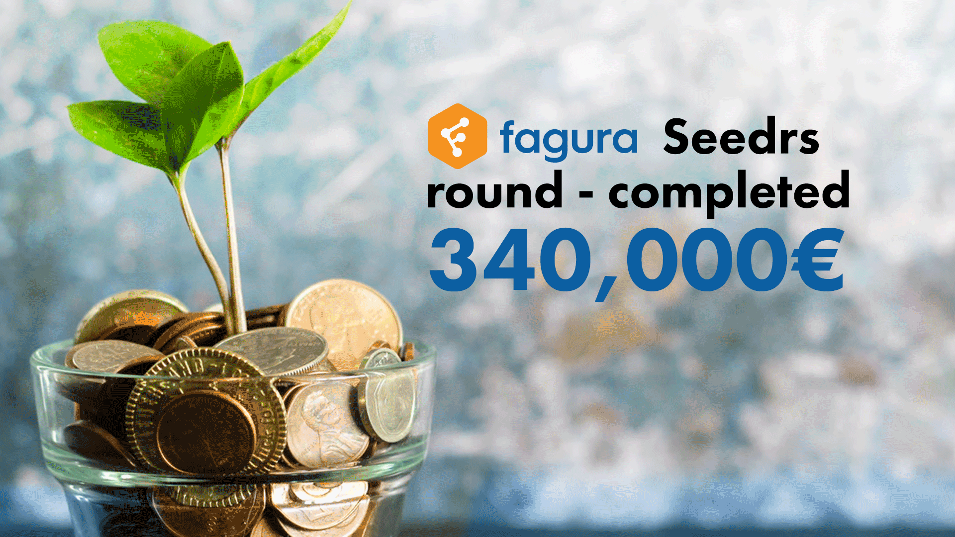 Fagura a atras 340 mii euro investiții pe Seedrs și se pregătește de extindere în România
